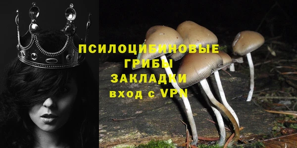 марки nbome Верхний Тагил