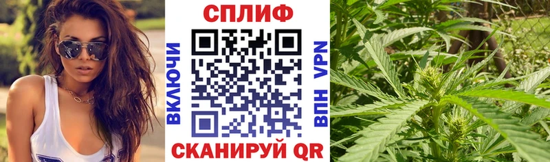 Купить закладки  Ленинск  Канабис конопля 